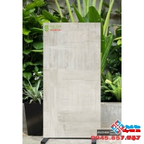 Gạch india bóng kiếng vân xi măng 80x160 cao cấp
