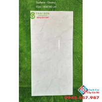 Gạch 80x160 bóng kiếng ấn độ cao cấp giá rẻ Long An