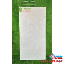 Gạch 80x160 bóng kiếng ấn độ cao cấp giá rẻ Long An