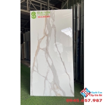 Gạch nhập khẩu 80x160 bóng kiếng giá rẻ 