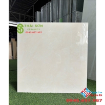 Gạch catalan 80x80 lát nền màu kem beige nhạt
