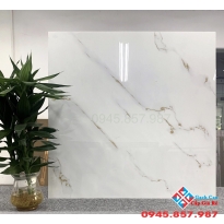 Đá bóng kiếng 60x60 trắng mạ vàng 6076