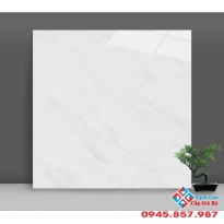 Gạch bóng kiếng 80x80 catalan giá rẻ mua ở đâu