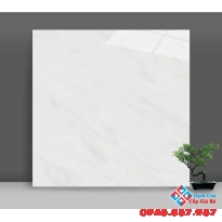 Gạch bóng kiếng 80x80 catalan giá rẻ mua ở đâu