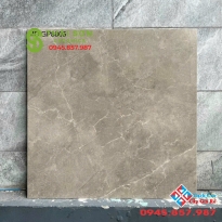 Gạch viglacera lát nền 80x80 matt mờ cao cấp