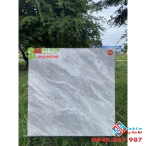 Gạch khắc kim vĩnh thắng 80x80 ốp lát cao cấp