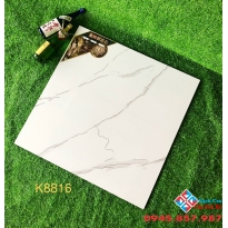 Gạch lót nền ánh kim 80x80 trung quốc