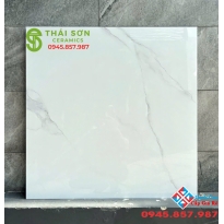 Gạch ốp lát viglacera 80x80 bóng kiếng cao cấp hcm