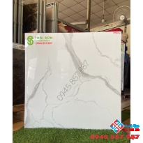 Tổng kho gạch lót sàn khổ 80x80 bóng kiếng