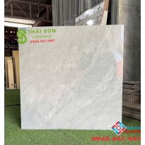 Gạch Takao bóng kính 80x80 lát nền vân đá marble