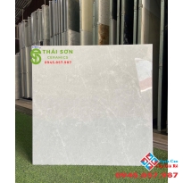 Gạch lát nền 80x80 takao bóng kiếng màu xám đá đồng chất