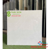 Gạch lát nền 80x80 takao bóng kiếng màu xám cao cấp 