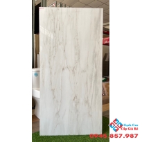 Gạch bóng kiếng ấn độ 60x120 cao cấp tiền giang