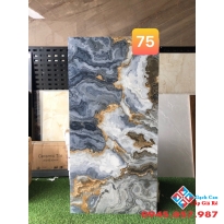 Gạch cao cấp nhập khẩu 60x120 bóng kiếng