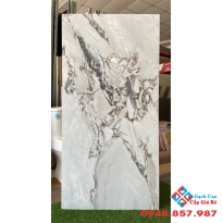 Gạch ấn độ 60x120 cao cấp thủ đức