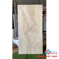 Gạch ấn độ nhập khẩu 60x120 cao cấp tại đồng tháp