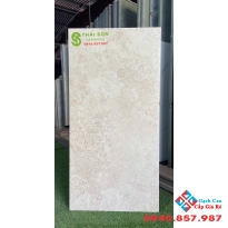 Gạch ấn độ 60x120 matt mờ ốp tường nhà tắm