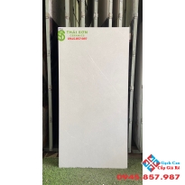 Gạch ốp lát ấn độ 60x120 matt mờ cao cấp