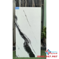 Đá bóng kiếng 60x120 ấn độ tại quận 5