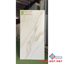 Gạch ấn độ 60x120 bề mặt mờ ốp tường phòng ngủ