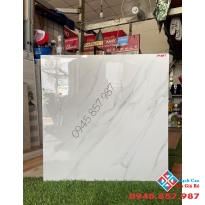 Gạch bóng kiếng ấn độ 60x60 giá rẻ tại long an