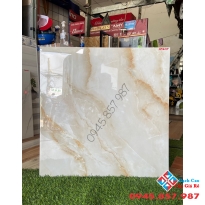 Tổng đại lý bán gạch lát nền ấn độ 60x60 giá rẻ