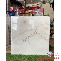 Gạch lát nền ấn độ 60x60 cao cấp