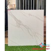 Gạch ấn độ 60x60 trắng mây mờ cao cấp