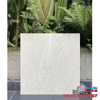 Gạch cao cấp nhập khẩu 60x60 nhám
