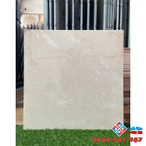 Gạch ấn độ quận 5 cao cấp 60x60