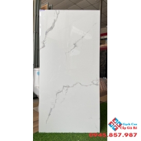 Gạch ấn độ bóng kiếng 60x120 giá rẻ quận 6