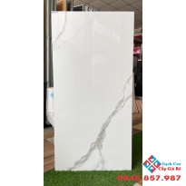 Gạch 60x120 cao cấp ấn độ quận 1