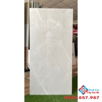 Gạch lát nền bóng kiếng ấn độ 60x120 tông xám