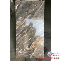 Gạch trung quốc nhũ kim 60x120 đồng chất mới nhất