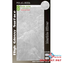 Gạch apodio siêu bóng 60x120 lát nền phòng khách