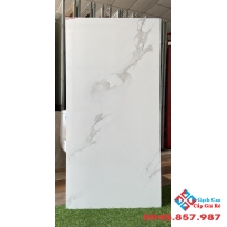 Gạch nhập khẩu bóng kiếng 60x120 tông sáng