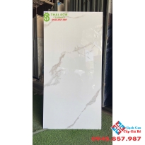 Gạch ấn độ màu trắng vân mây 60x120 lát nền bóng kiếng