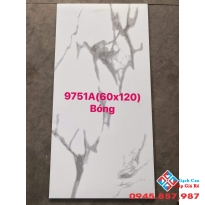 Gạch cao cấp giá rẻ 60x120