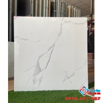 Gạch lát nền apodio 80x80 trắng mây