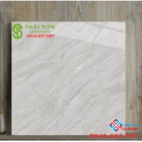 Gạch 80x80 bóng kiếng lát nền giá rẻ catalan tại Long An