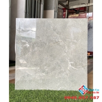 Gạch lát nền cao cấp 60x60 á mỹ
