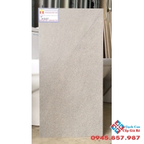 Gạch đồng chất 30x60 lát nền