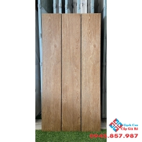 Gạch vân gỗ 19,5x120 mới nhất hcm