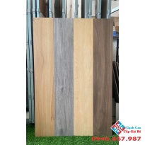 Gạch granite đồng chất 20x120 giả gỗ cao cấp