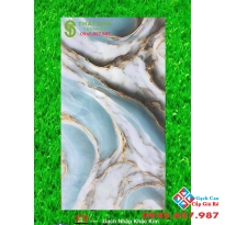 Gạch ốp lát khắc kim vàng 60x120 đồng chất trung quốc