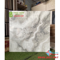 Gạch tasa bóng kiếng khắc kim 80x80 lát nền tại Gò Vấp