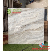 Gạch khắc kim vàng tasa bóng kiếng 80x80 lát nền Q8