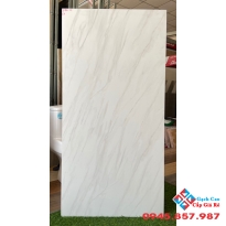 Gạch đá mờ 60x120 apodio giá rẻ hcm