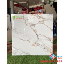 Giá gạch lát nền 60x60 bóng kiếng hiện nay