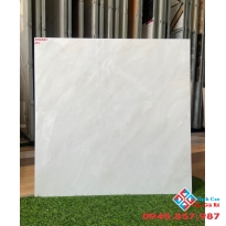 Gạch bóng kiếng giá rẻ catalan 60x60